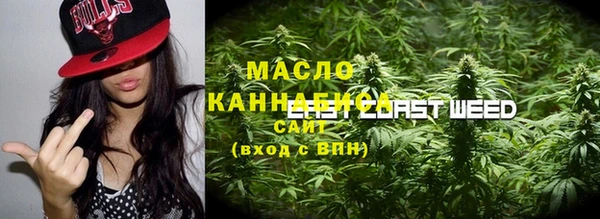 эйфоретик Вяземский