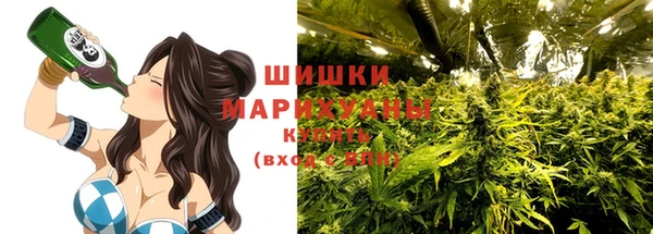 СК Михайлов
